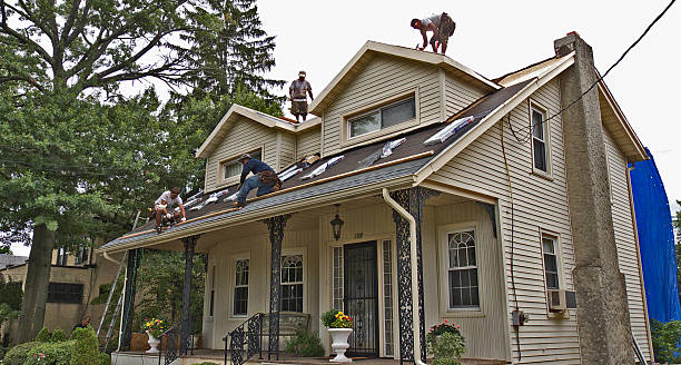 Best Roof Maintenance Services  in Montclair, VA