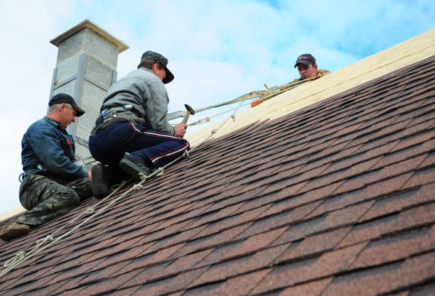 Best Local Roofing Companies  in Montclair, VA